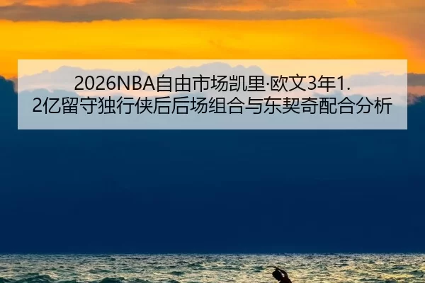zi-you-shi-chang-kai-li-ou-wen-nian-yi-liu-shou-du-xing-xia-hou-hou-chang-zu-he-yu-dong-qi-qi-pei-he-fen-xi-2-241.jpg