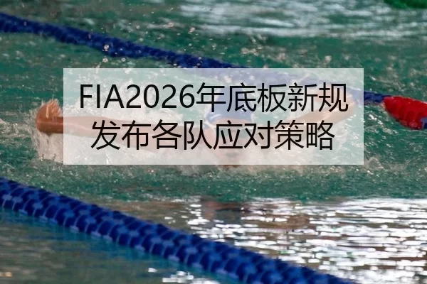 nian-di-ban-xin-gui-fa-bu-ge-dui-ying-dui-ce-lve-3-329.jpg